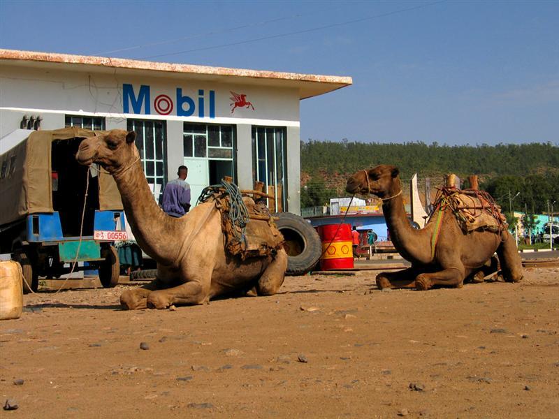 Photos: Ethiopia (pictures, images)