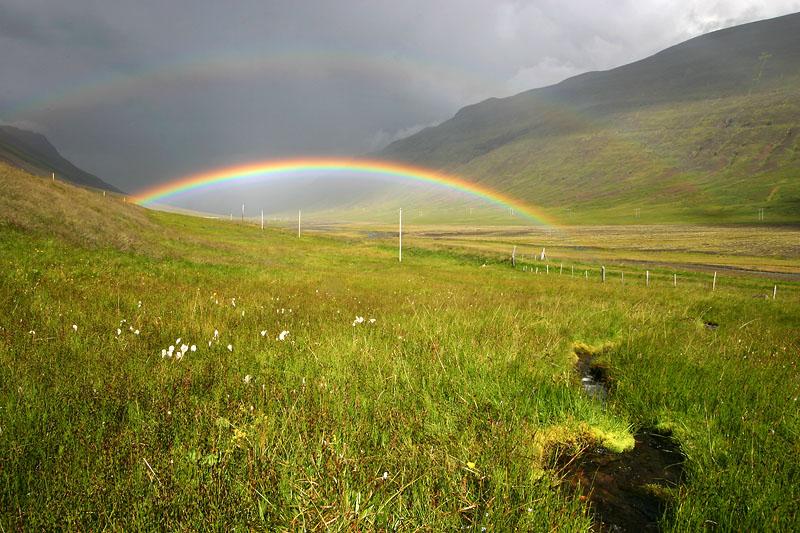 Photos: Iceland (pictures, images)