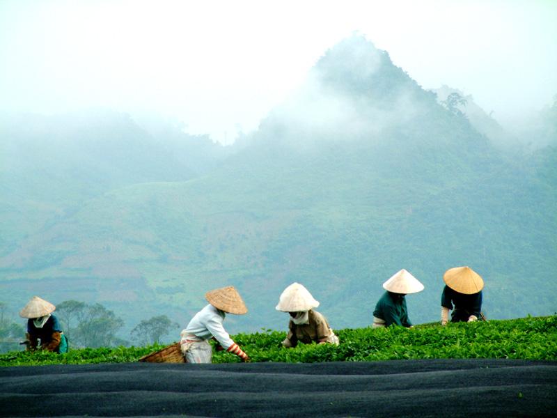 Photos: Vietnam (pictures, images)