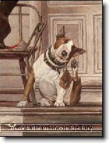 Historie PSŮ : 138-ozzy-danny-1180464534