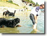 Stret�vka milovn�kov bsp v Senci :) : 149-nasepsy-1181058690
