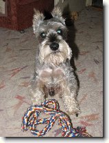 Denny v�dce sme�ky : 200-max-1182421427