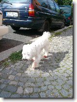 Proch�zka : 226-nasi-milacci-1183721149