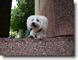 Proch�zka : 226-nasi-milacci-1183723851