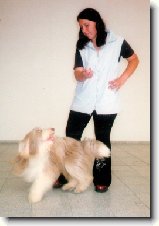 Výchova a výcvik ... : 37-ozzy-danny-1176920842