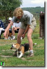 Výchova a výcvik ... : 37-ozzy-danny-1176920877