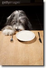 Uiten vciky : 398-jorky-1202126633