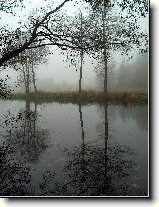 Foto:Z prody...:U Nerky