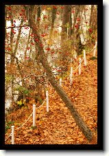 Foto:Z prody...:Podzimn I.