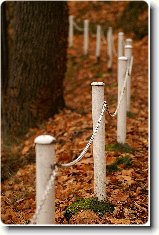 Foto:Z prody...:Podzimn II.