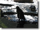 Foto:Zoo Praha: