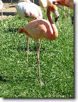 Foto:Zoo Praha: