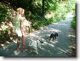 Foto:U vody:Moje s�gra, Danny a Ozzy
