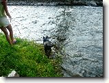 Foto:U vody:Ochutn�vka vody v �ece