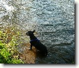 Foto:U vody:Tady na m�l�in� se fajn sed�.....