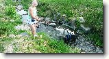 Foto:U vody:V�bec se n�m dom� nechce...