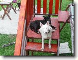 Foto:Leh�rko na slun��ku...::)