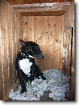 Foto:Leh�rko na slun��ku...:Ach jo, ani tady nem�m klid...