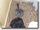Foto:botanick� zahrada a zv��ectvo venku:s�ra versus �t�sko