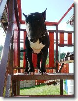 Foto:Fote�ky z v�kendu:Krte�ek