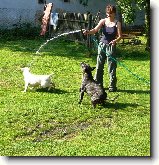 Foto:Z v�letu:Trocha osv�en�...