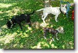 Foto:Z v�letu:U� jsou p�kn� unaveni...