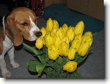 Foto:Nejnov�j�� fote�ky: