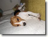 Foto:Nejnov�j�� fote�ky:
