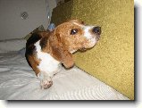 Foto:Nejnov�j�� fote�ky: