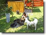 Foto:Narvaný bazének :):Drbej mě i za tím druhým uchem jo?
