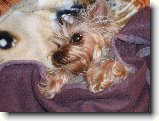 Foto:Fotky z kv�tna 2007: