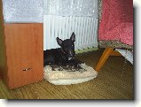 Foto:Nic nen� kouzeln�j��ho ne� �t��ata !!!:U topen� je nejl�pe...