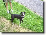 Foto:Bull sraz :):Lexi