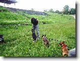 Foto:Bull sraz :):Vendula se sna�� cvi�it Lexi
