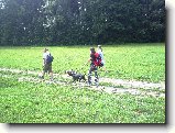 Foto:Bull sraz :):Op�t z�b�r z v�letu