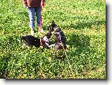 Foto:Bull sraz :):Ozzy blbne s Bar�ou