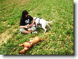 Foto:Bull sraz :):Hari le�� jak placka :)
