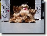 Foto:Fotky z �ervna 2007: