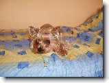 Foto:Fotky z �ervna 2007: