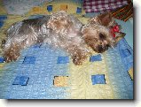 Foto:Fotky z �ervence 2007:
