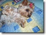 Foto:Fotky z �ervence 2007: