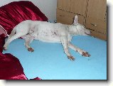 Foto:Copak d�l�me na konci pr�zdnin :):To je �ivot ...