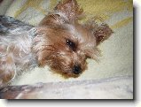 Foto:Fotky ze srpna 2007: