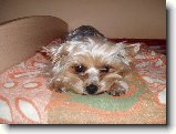 Foto:Fotky ze srpna 2007: