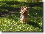 Foto:Fotky ze z��� 2007: