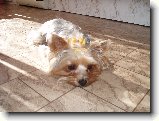 Foto:Fotky ze z��� 2007:
