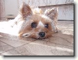 Foto:Fotky ze z��� 2007:
