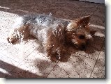 Foto:Fotky ze z��� 2007:
