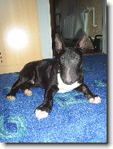 Foto:Od v�eho n�co :):Nech� m� u� b�t a p�estane� fotit????