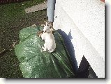 Foto:Od v�eho n�co :):Moje vyhl�dkov� m�ste�ko....